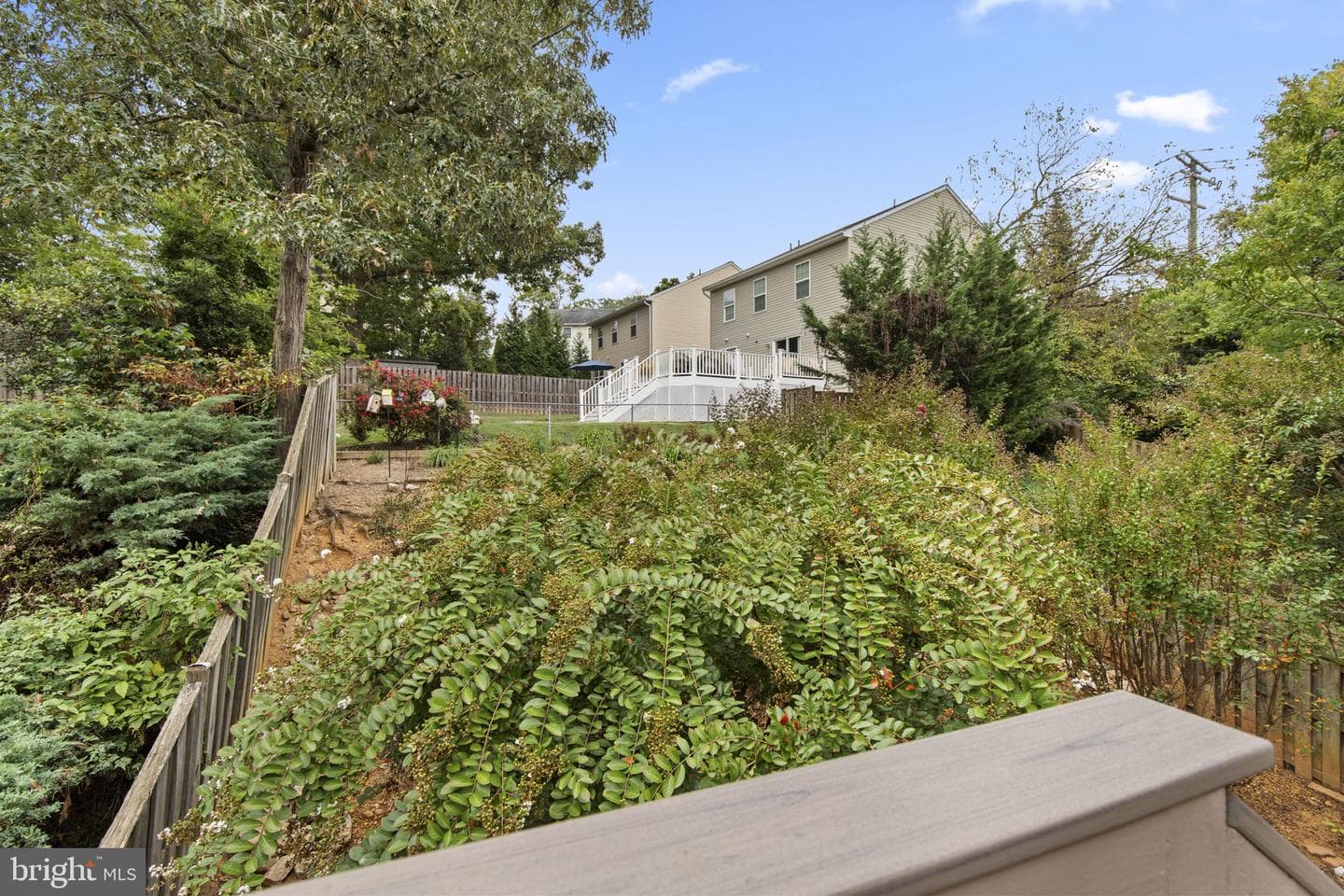 5843 Richardson Mews Square photo 23