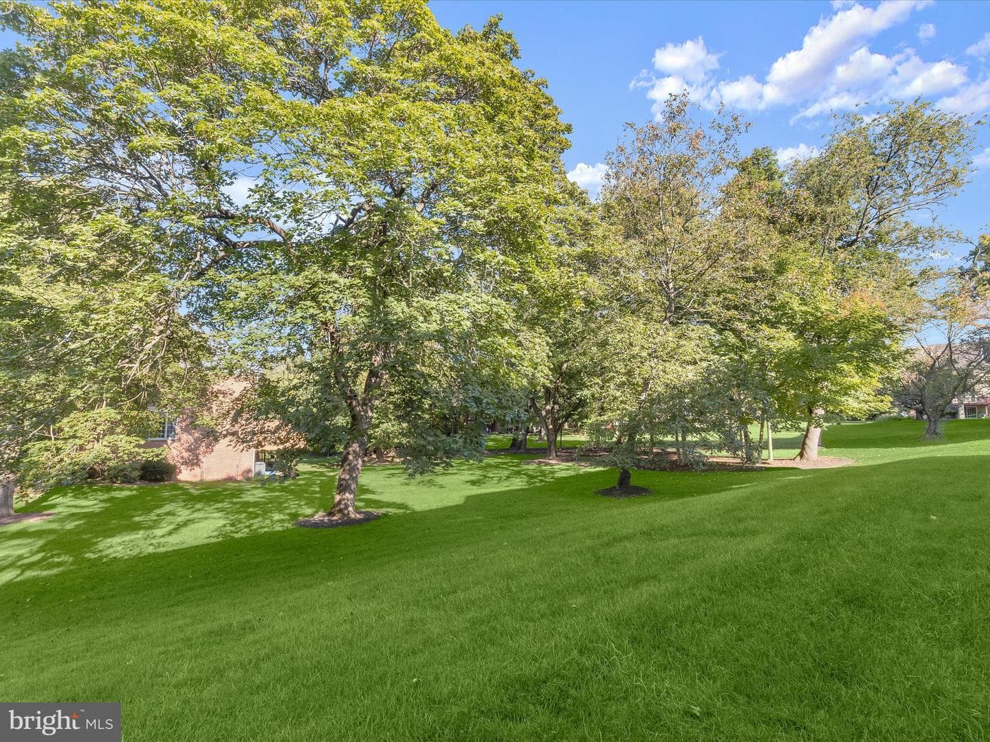 11817 Sherbourne Drive photo 31