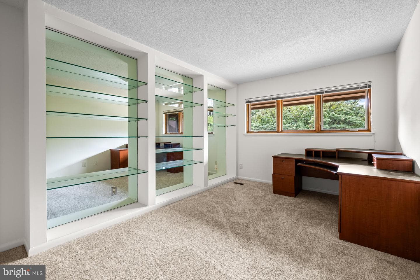 15 Oakridge Court photo 39