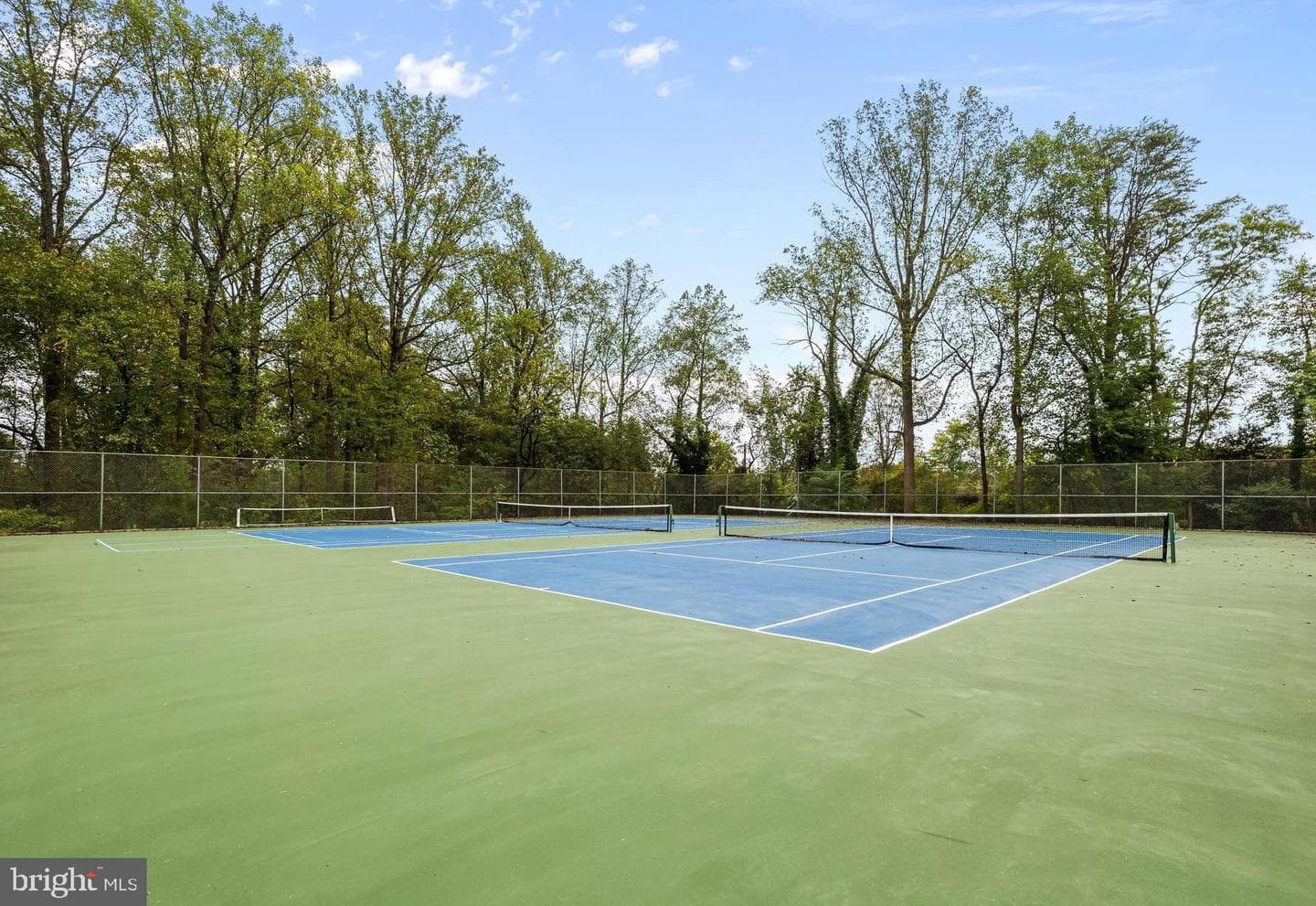 15 Oakridge Court photo 55