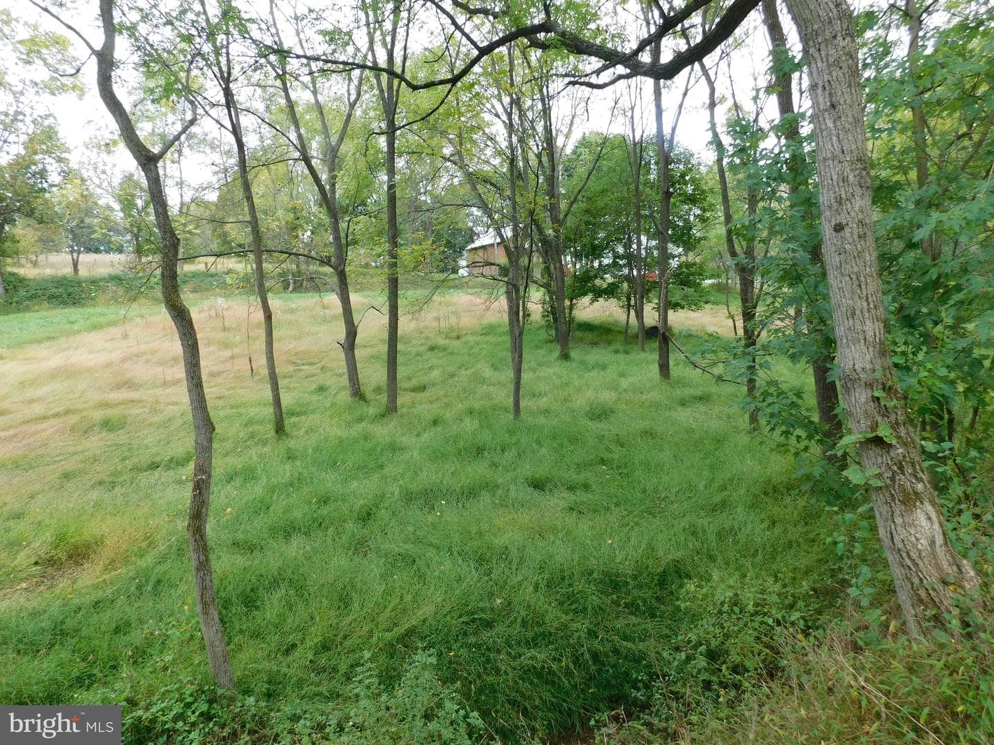 1402 Oakland Road photo 5