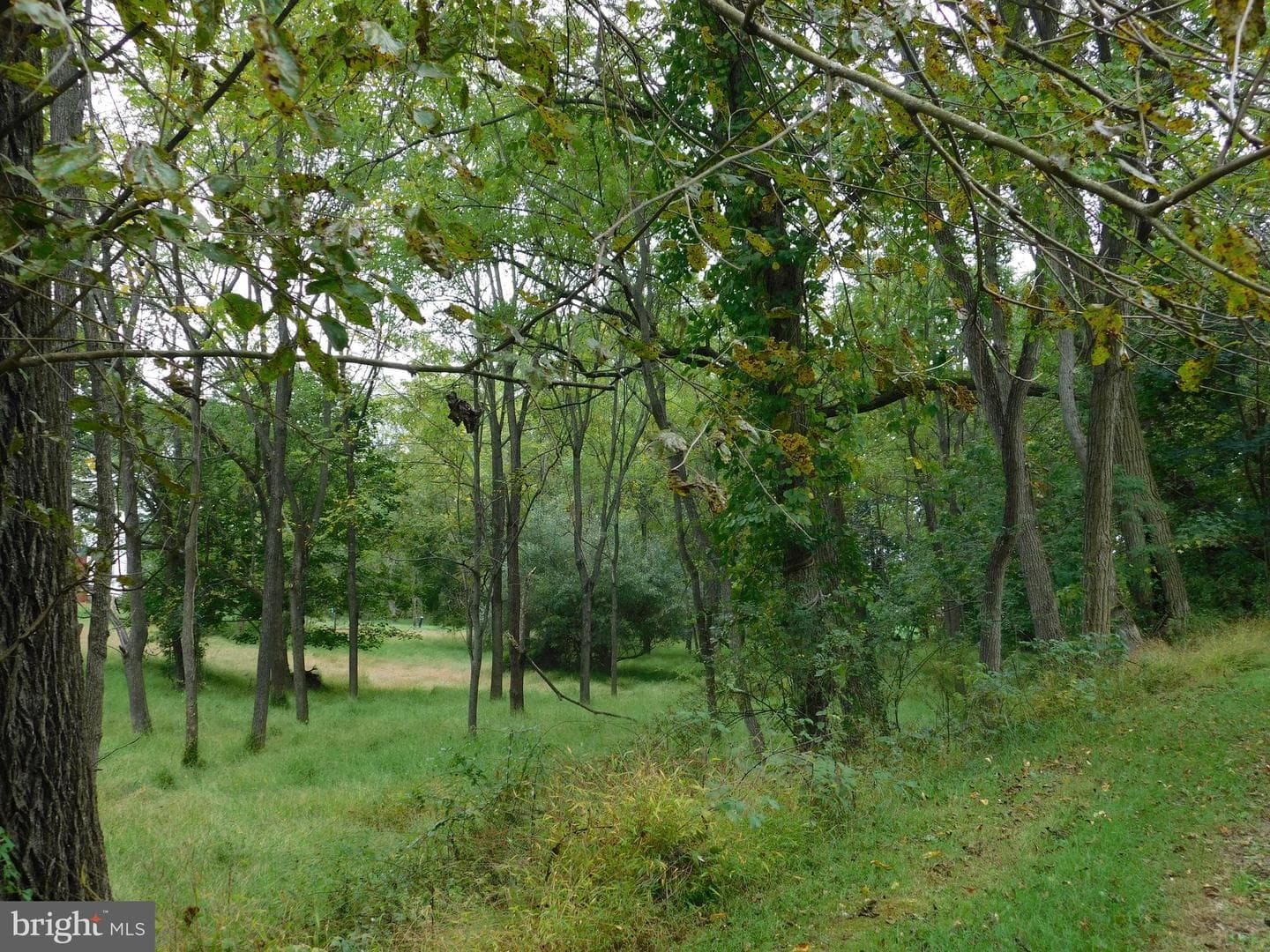 1402 Oakland Road photo 6