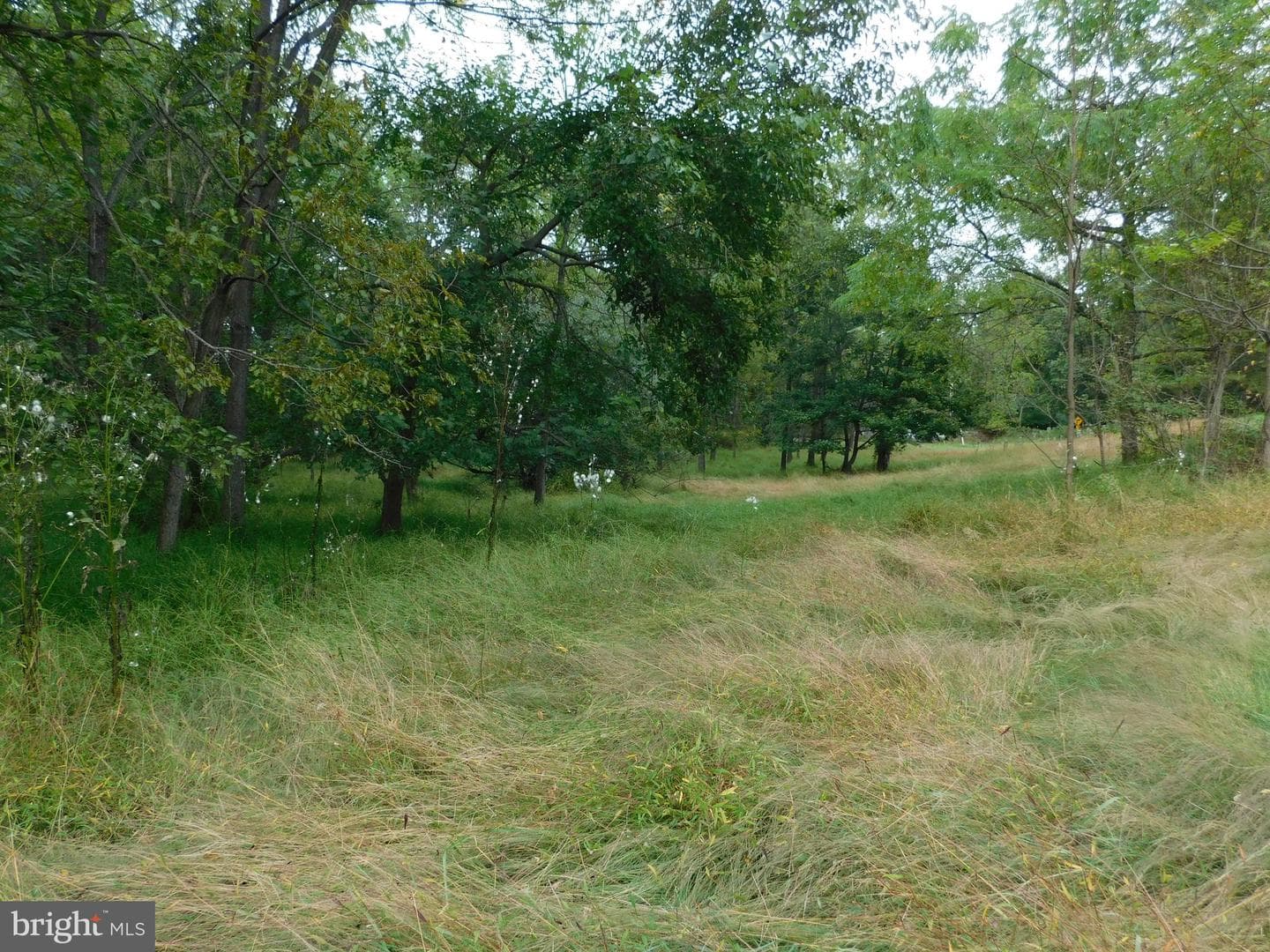 1402 Oakland Road photo 7