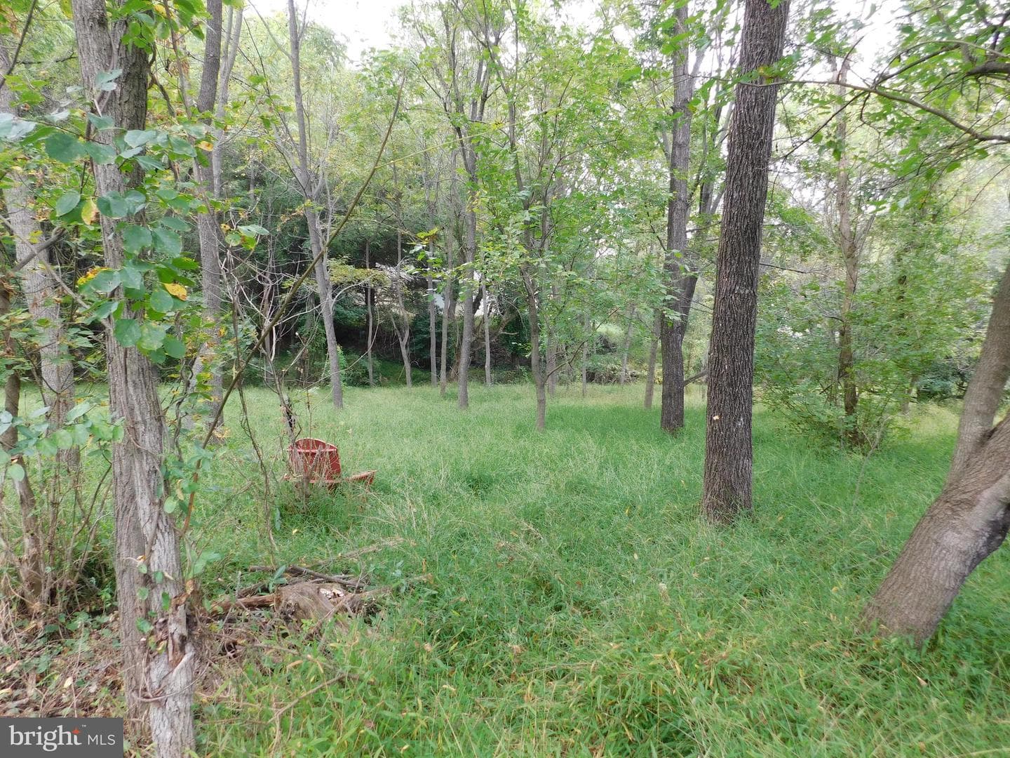 1402 Oakland Road photo 8