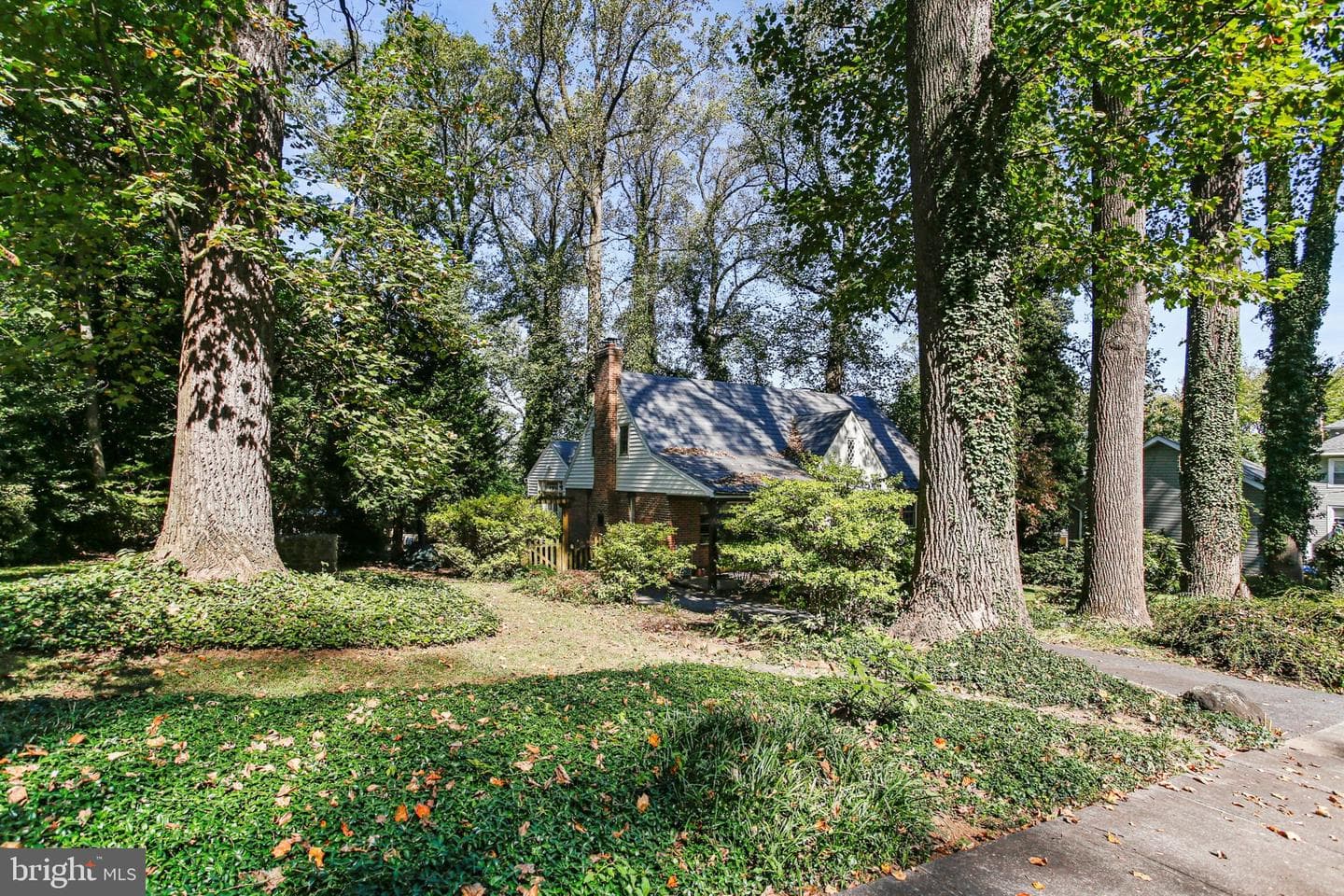 2408 Birch Drive photo 5
