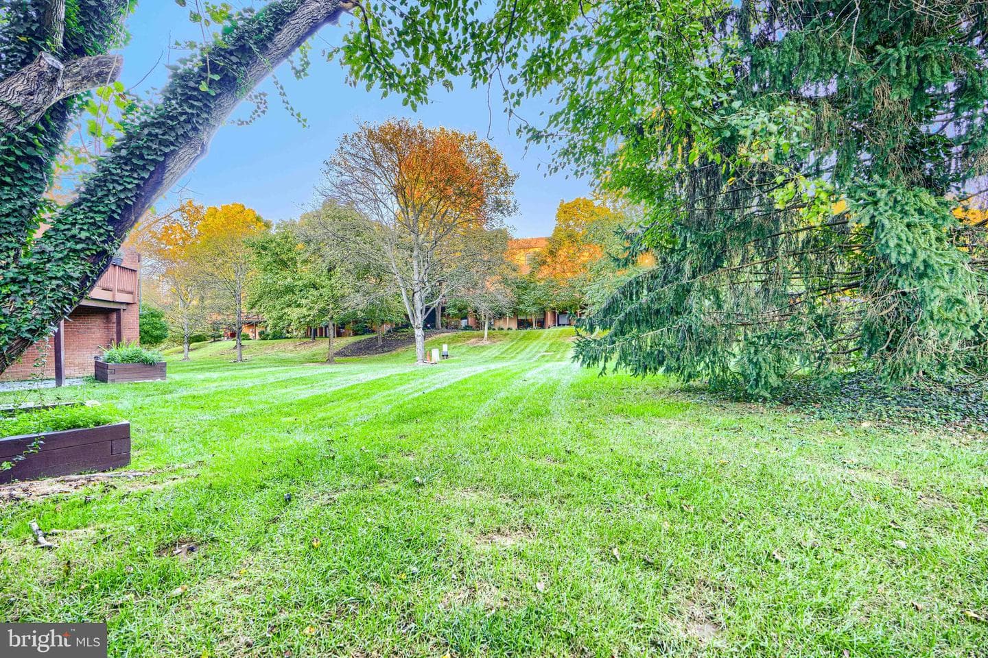 8223 Ruxton Crossing Court photo 46