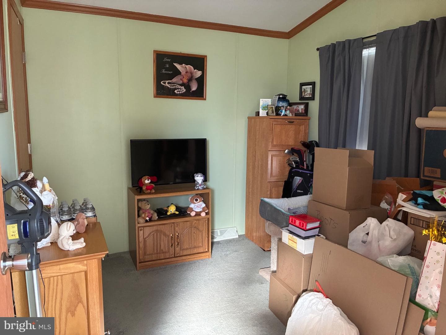 3532 Dahlia Lane photo 19
