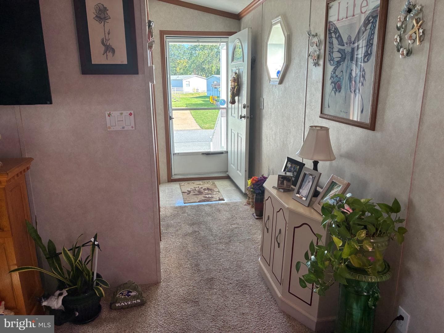 3532 Dahlia Lane photo 4