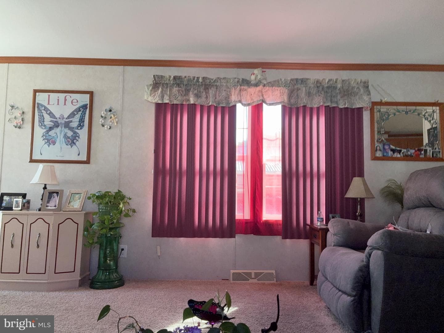 3532 Dahlia Lane photo 7
