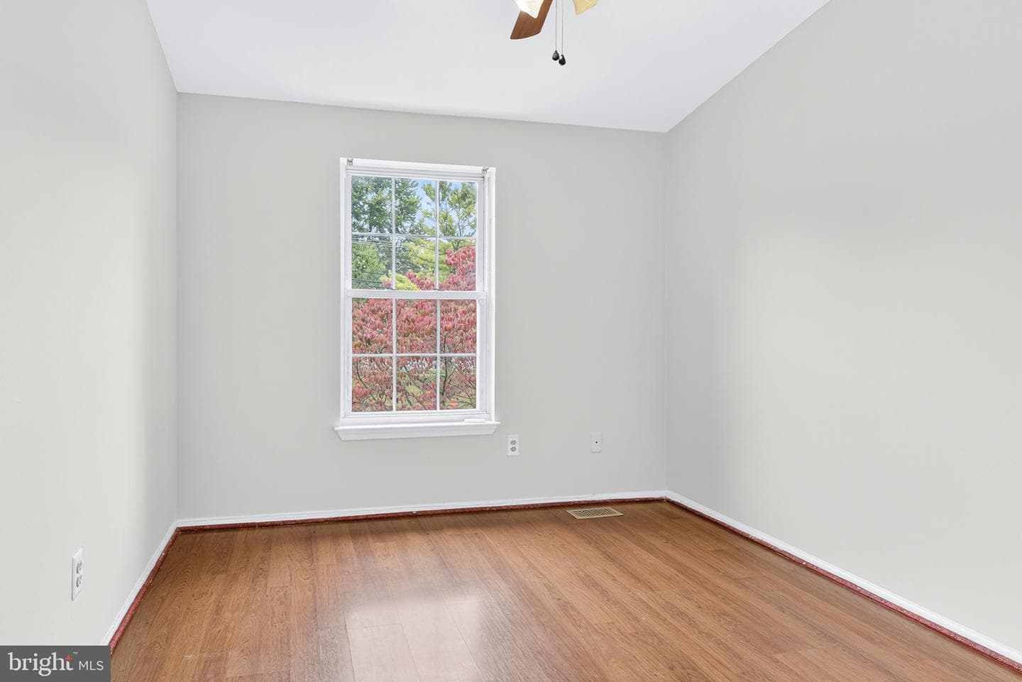 25 Longmont Court photo 18