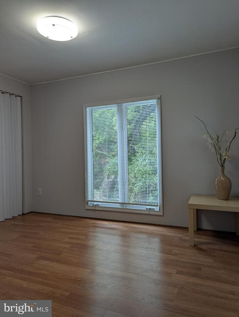 472 Mirabile Lane photo 20