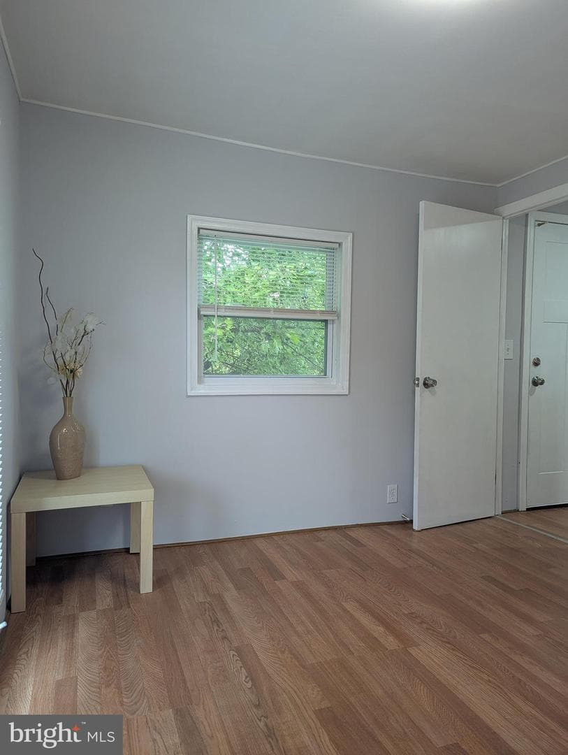 472 Mirabile Lane photo 21