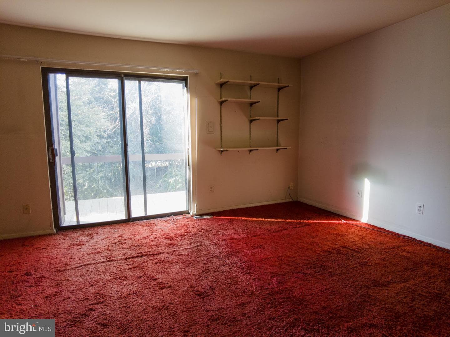 9 Penny Lane #9 photo 17