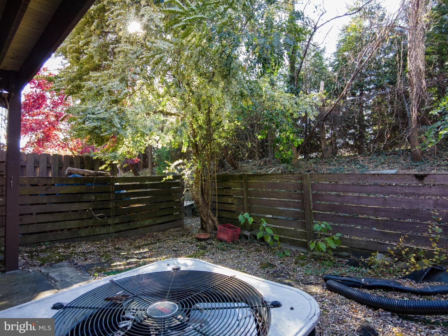 9 Penny Lane #9 photo 36