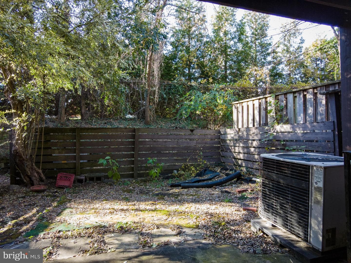 9 Penny Lane #9 photo 37