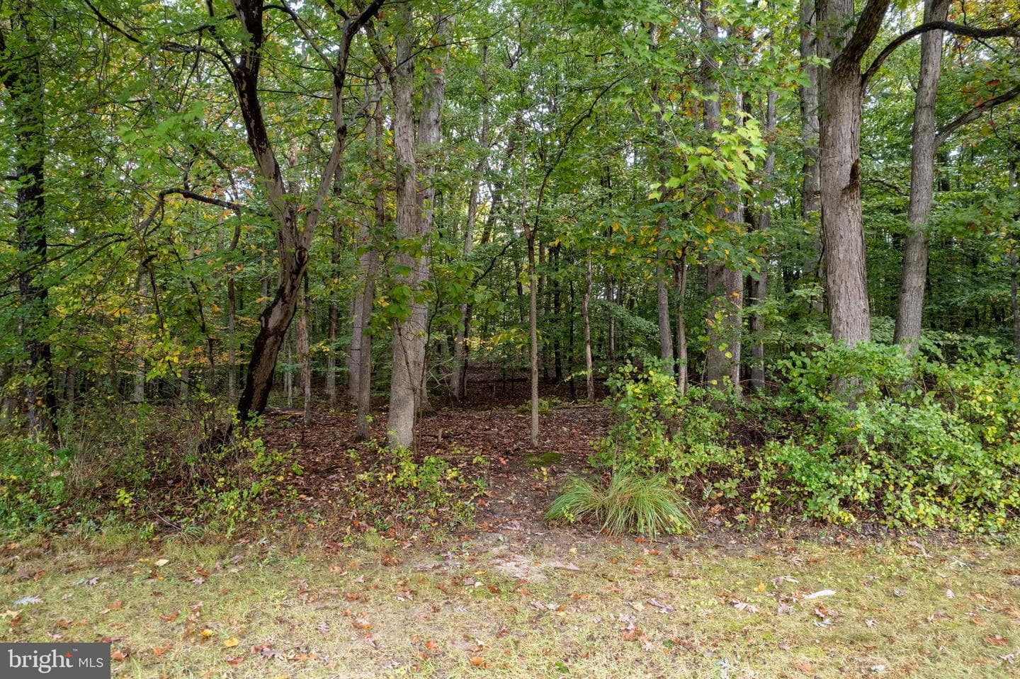 19 Burnsway Court #9e photo 20