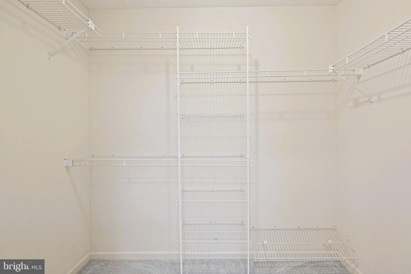 14 Britmore Court photo 12