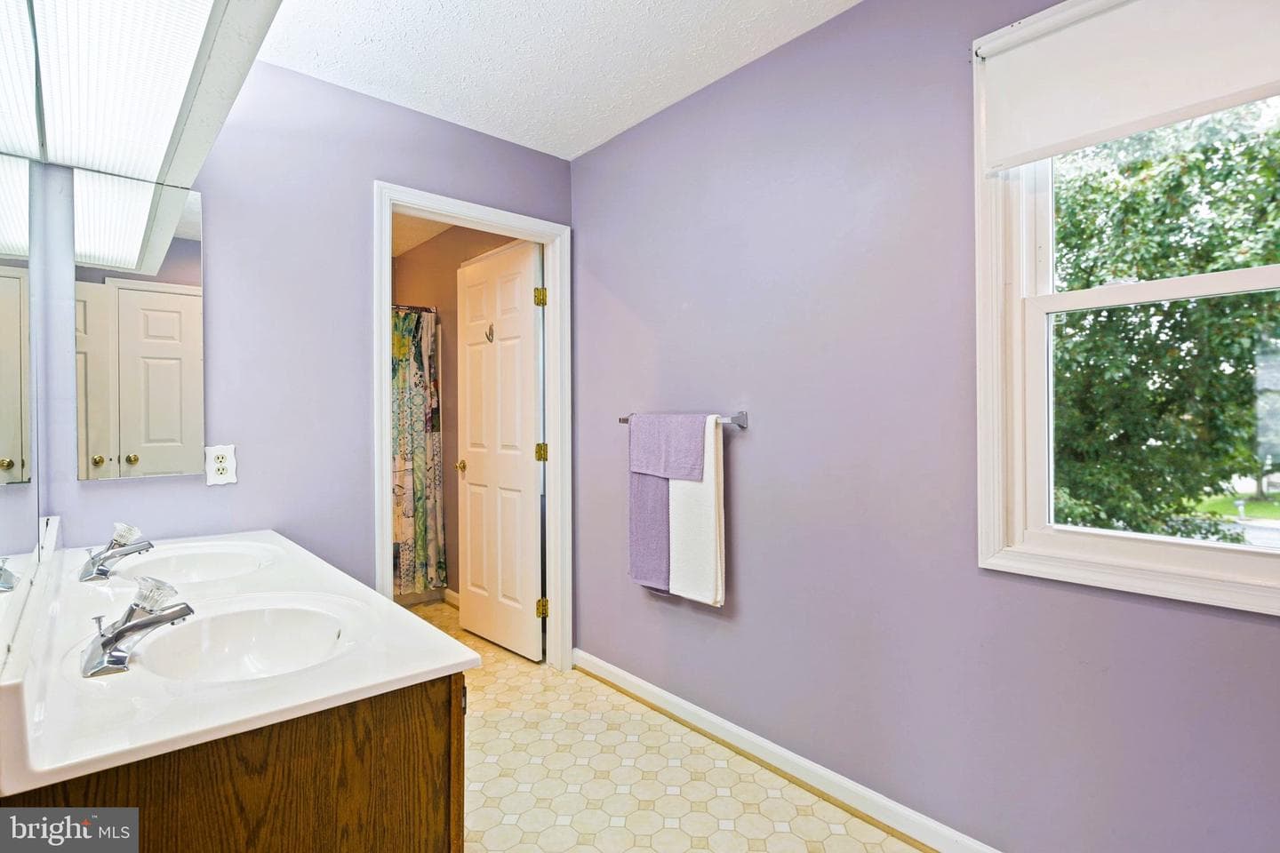 14 Britmore Court photo 14