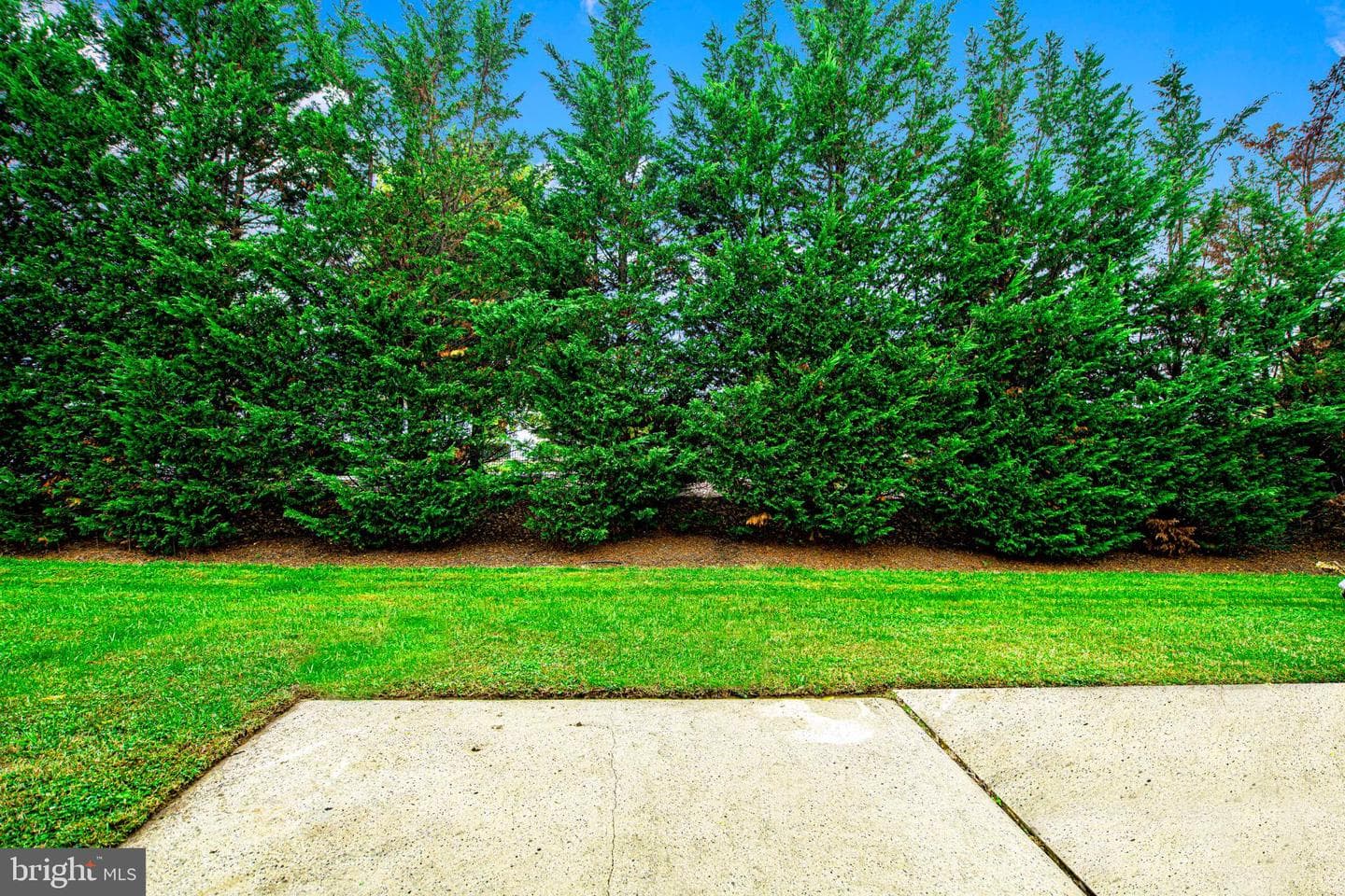 7105 Rutherford Green Circle photo 30