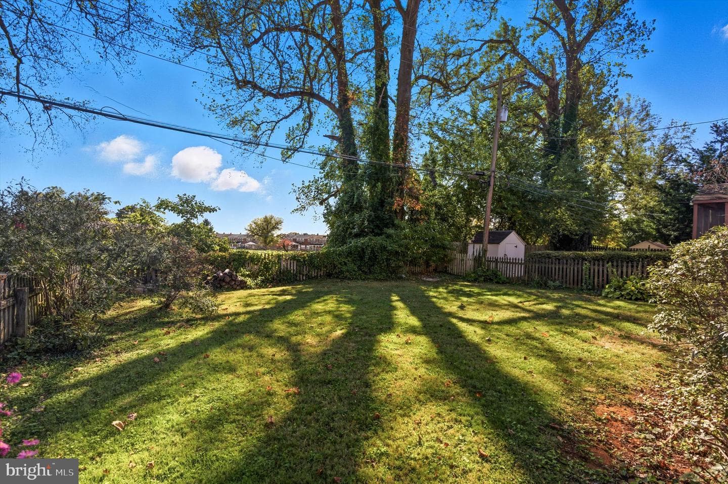 7023 Concord Road photo 36