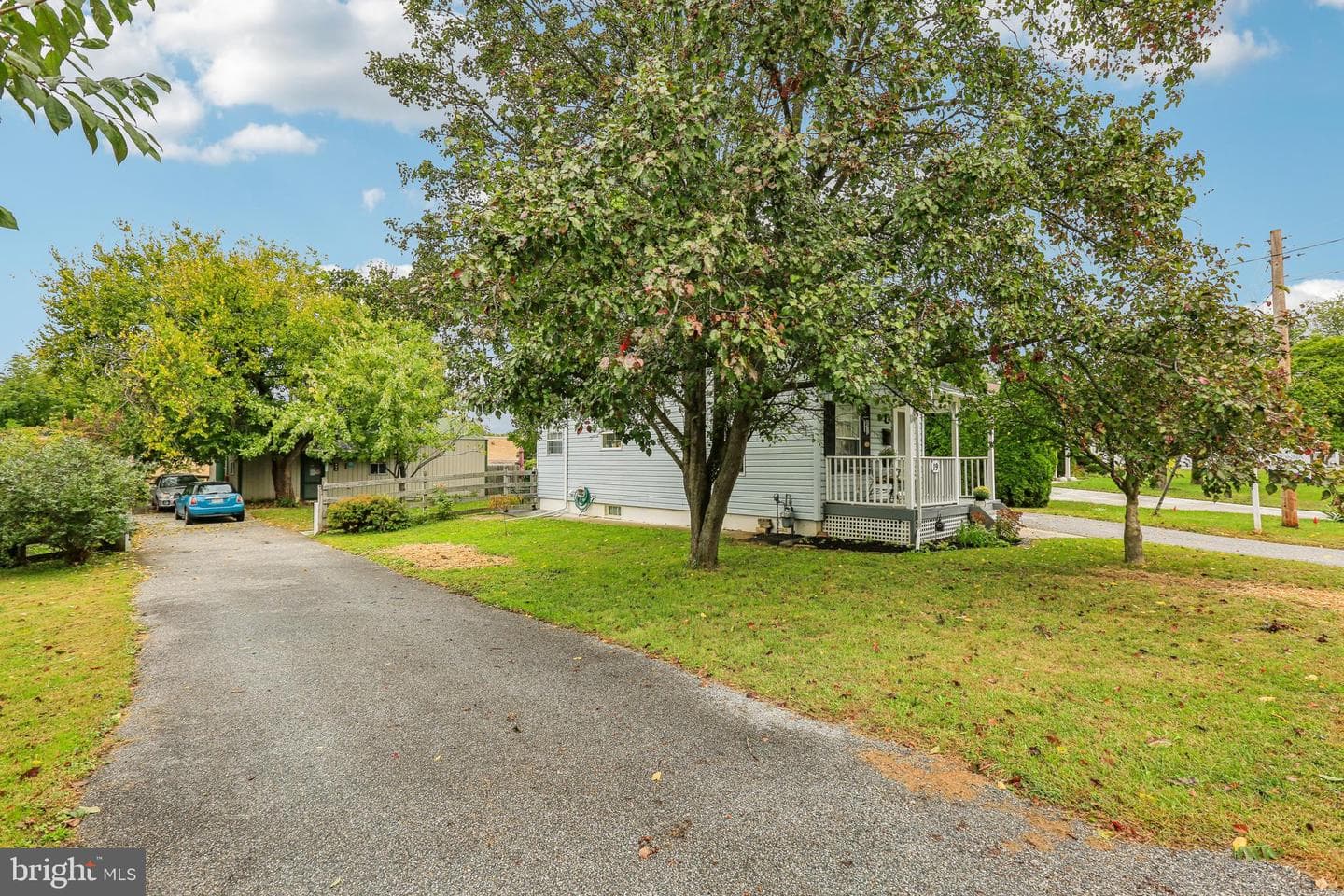 19 Bond Avenue photo 17