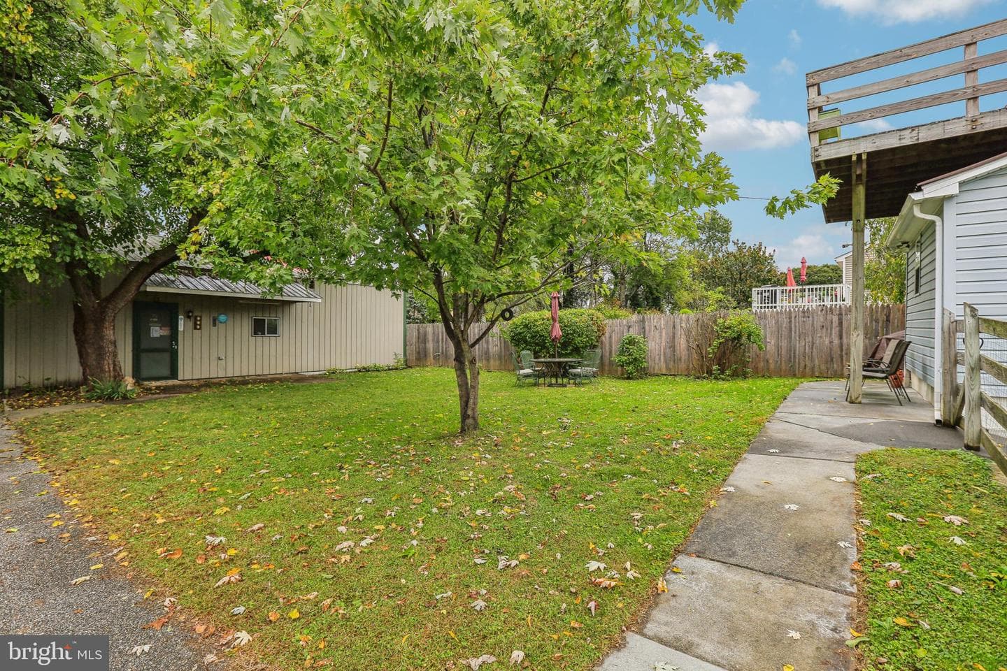 19 Bond Avenue photo 19