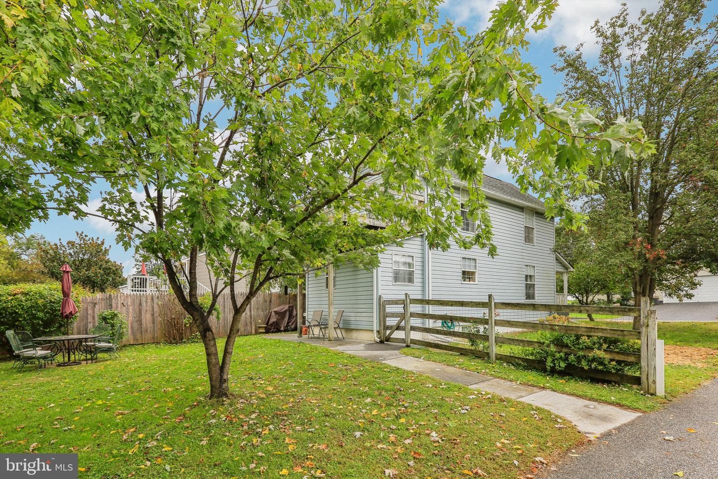 19 Bond Avenue photo 20