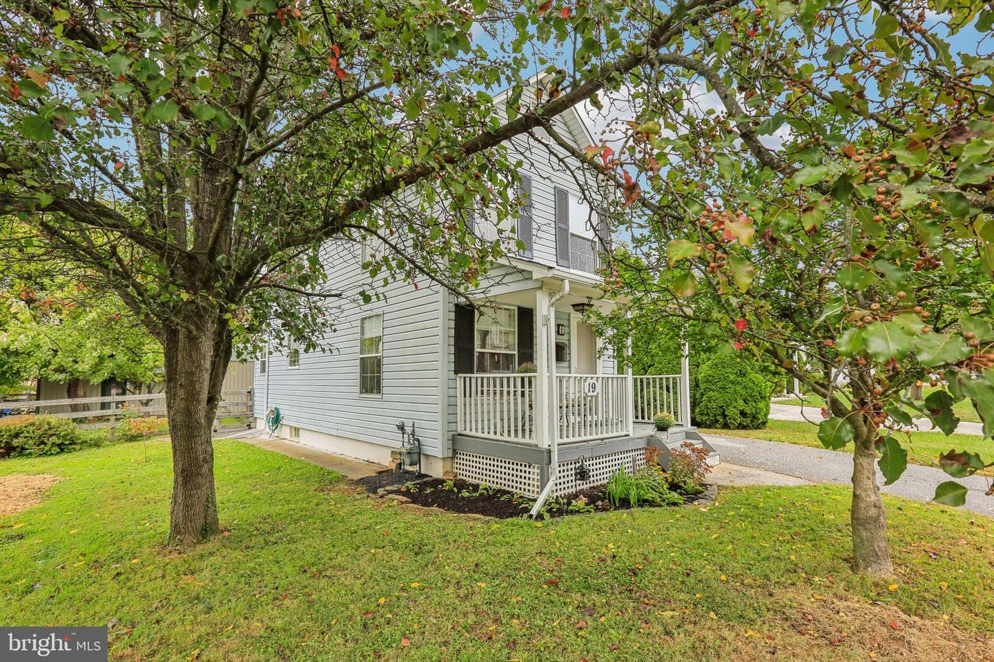 19 Bond Avenue photo 3