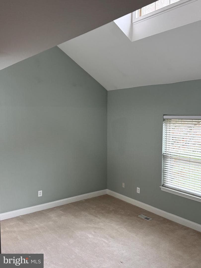 16 Meadow Run Court photo 29