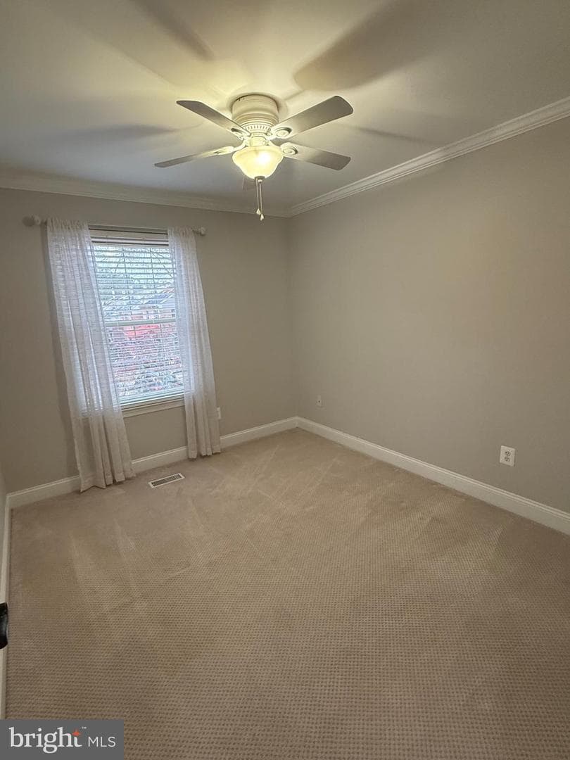 16 Meadow Run Court photo 45