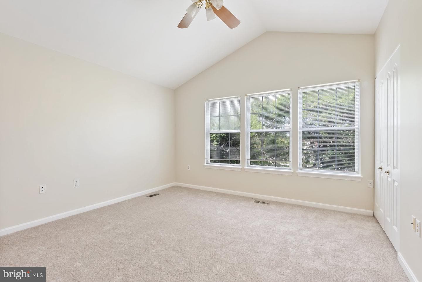 13 Bellinger Court photo 18