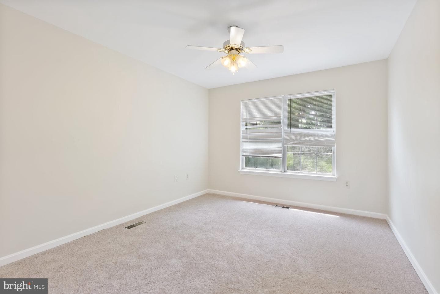 13 Bellinger Court photo 20
