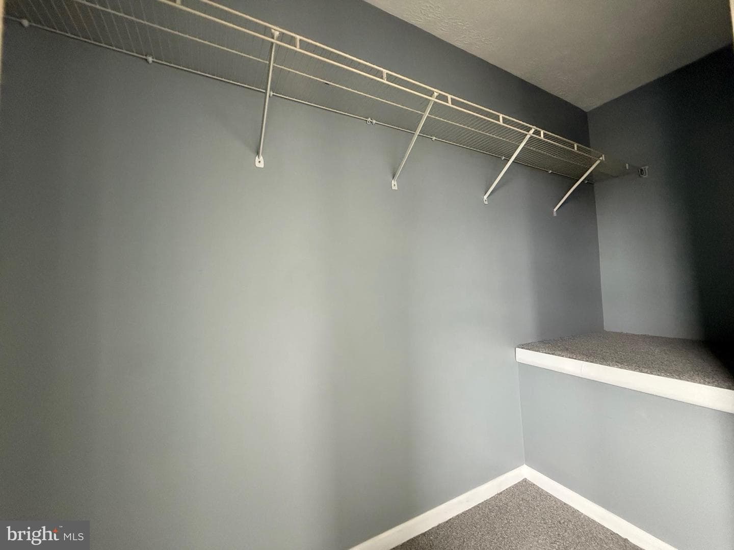54 Chelmsford Court photo 25