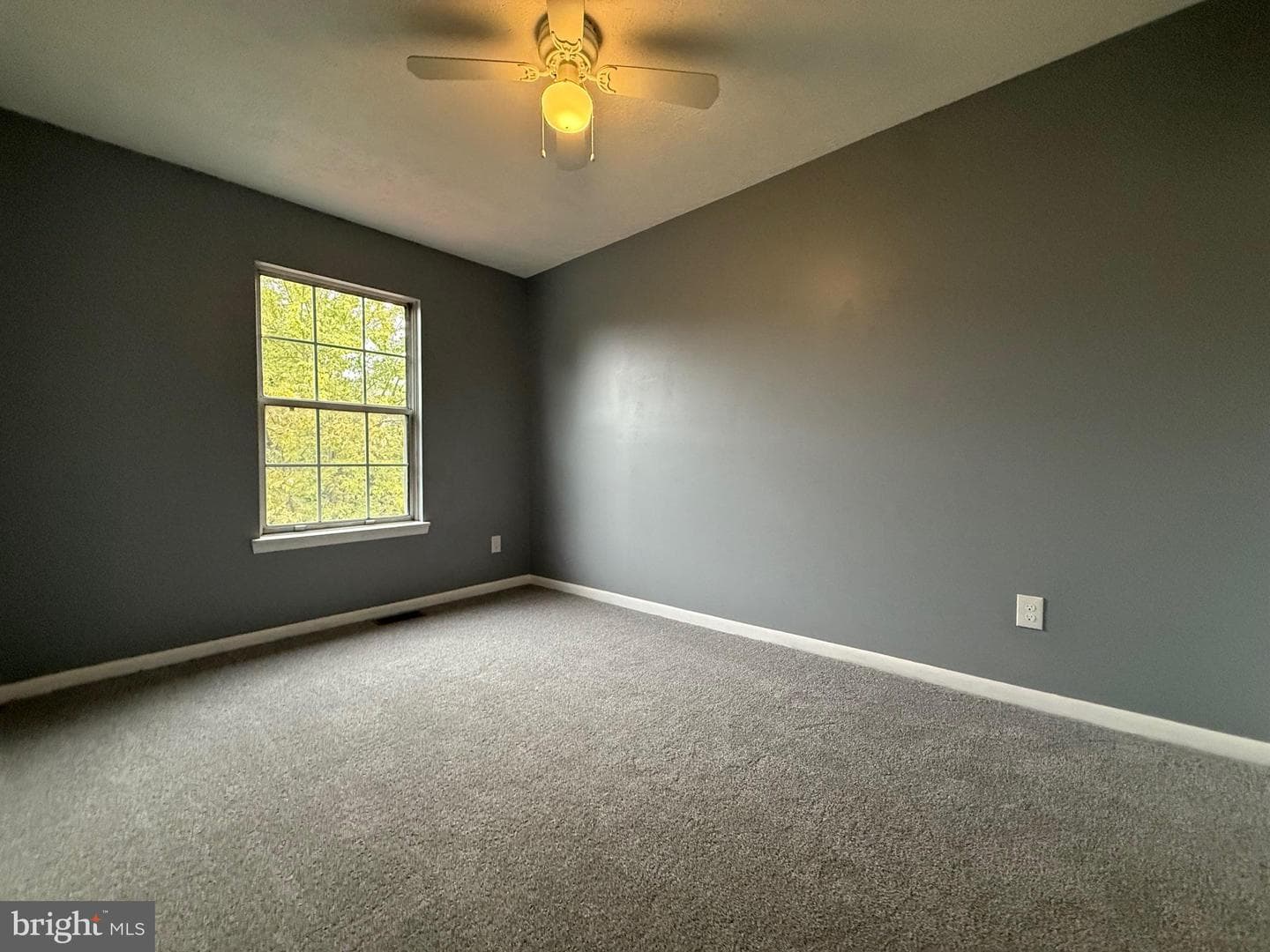 54 Chelmsford Court photo 31