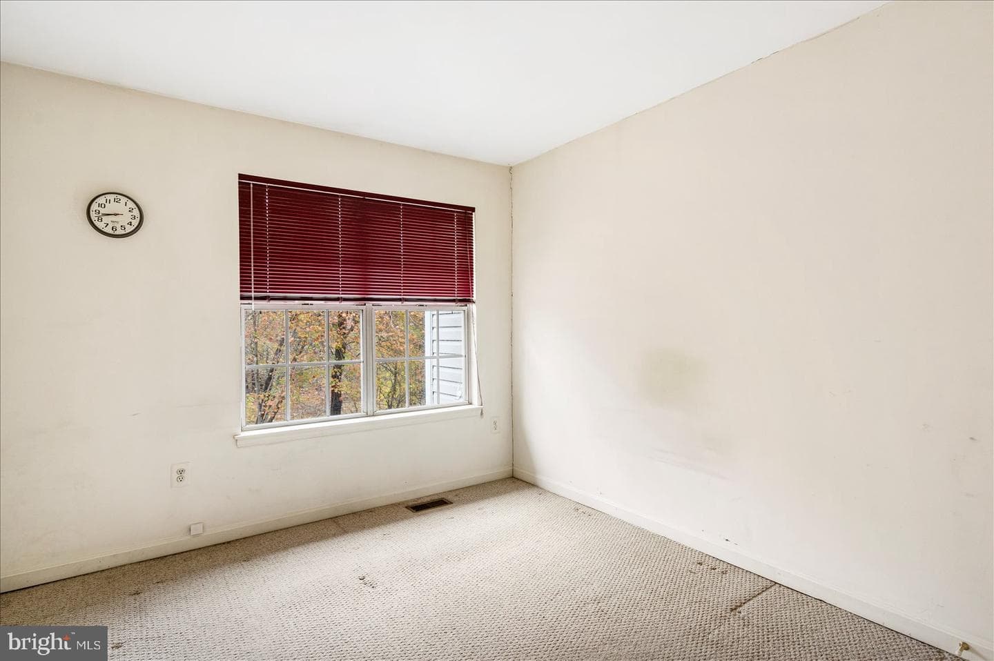 20 Windy Meadow Court photo 16