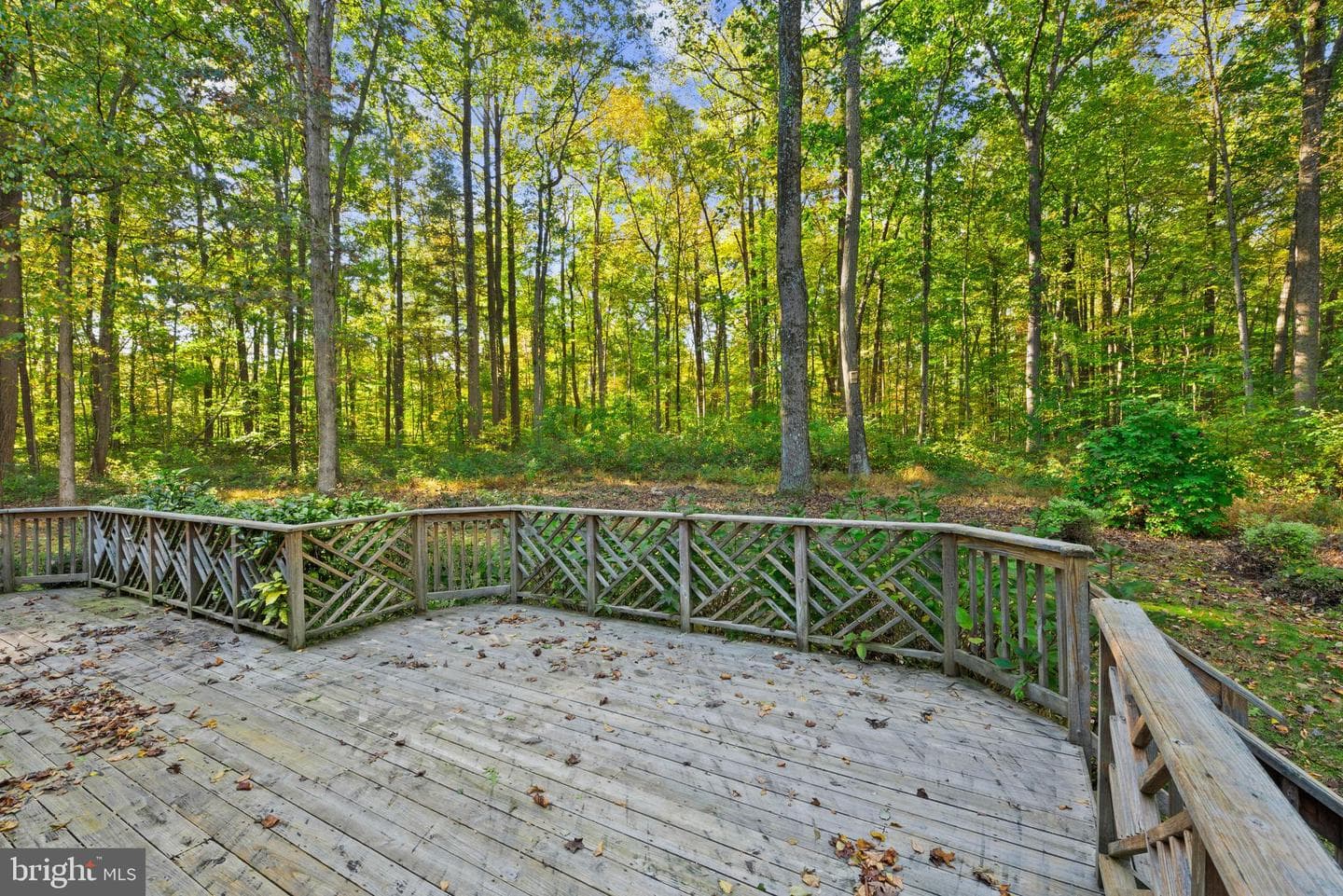 17414 Wesley Chapel Road photo 43