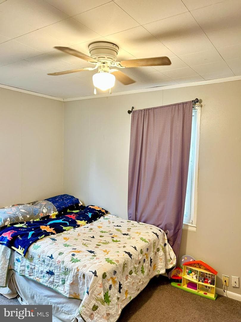37 Walkern Road photo 38