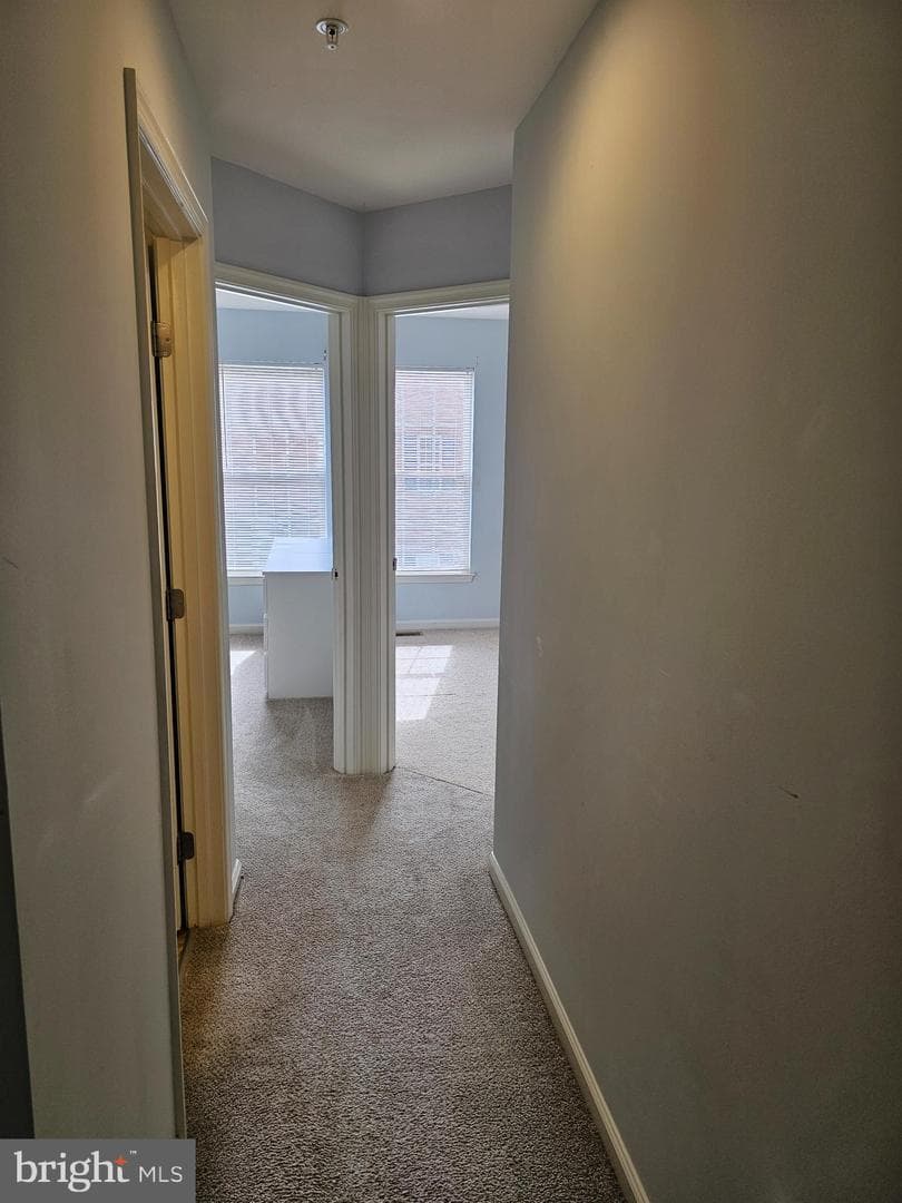 5099 Cameo Terrace #5099 photo 16