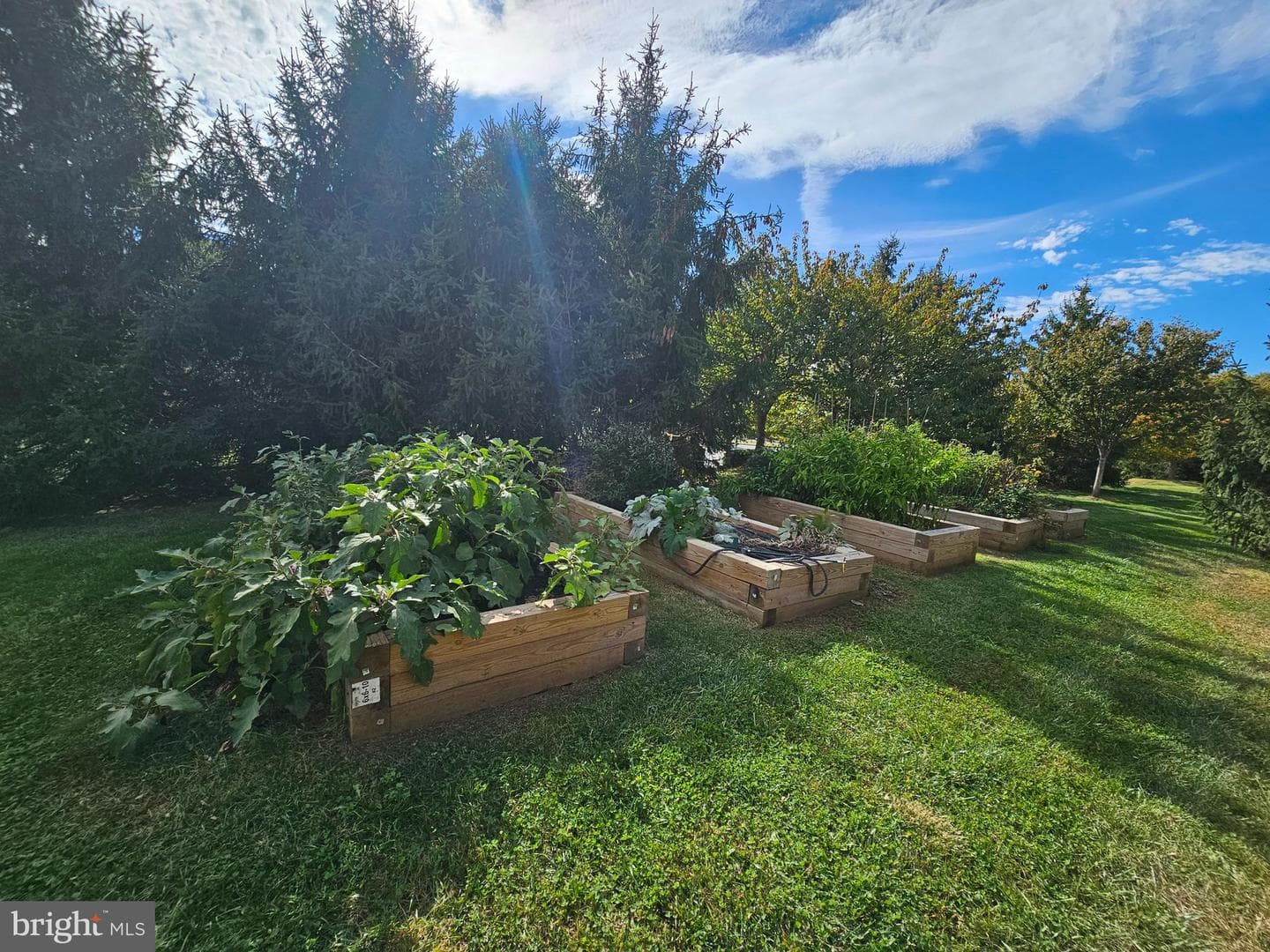 5099 Cameo Terrace #5099 photo 27