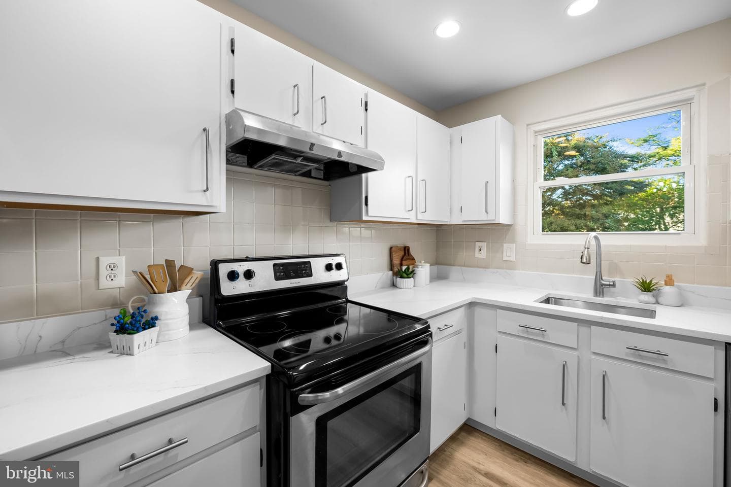 241 Green Fern Way photo 11