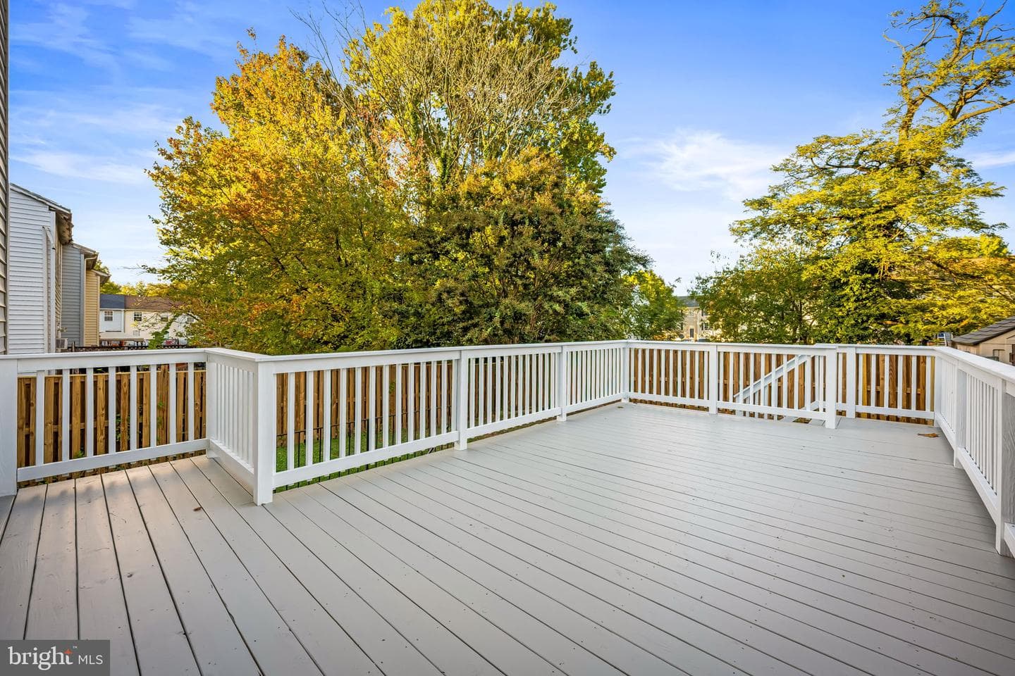 241 Green Fern Way photo 29
