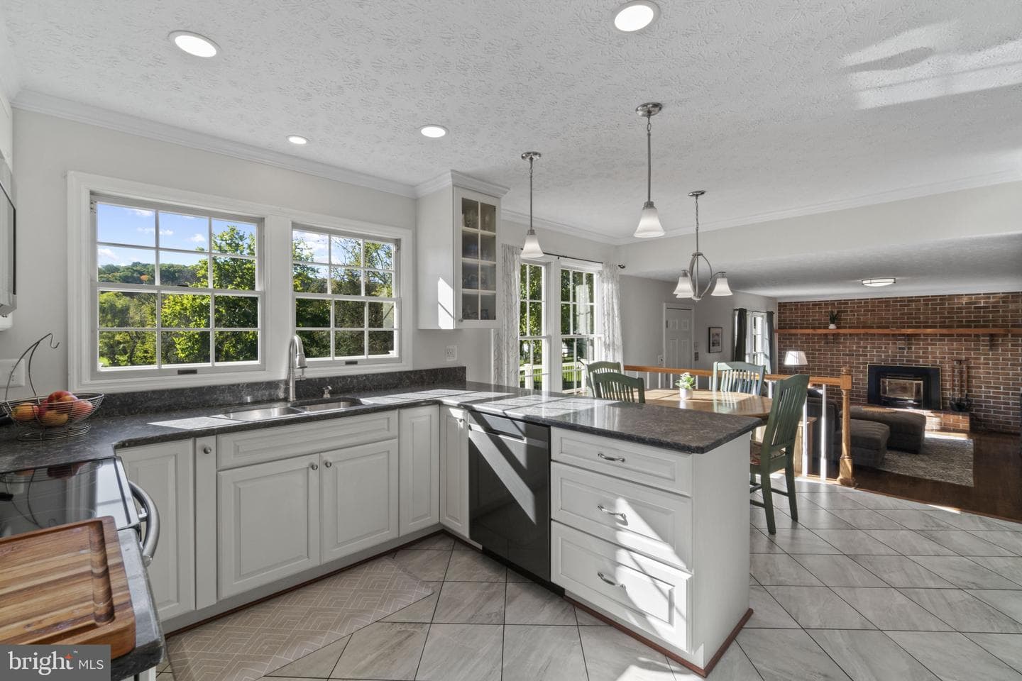 1309 Brook Meadow Drive photo 20