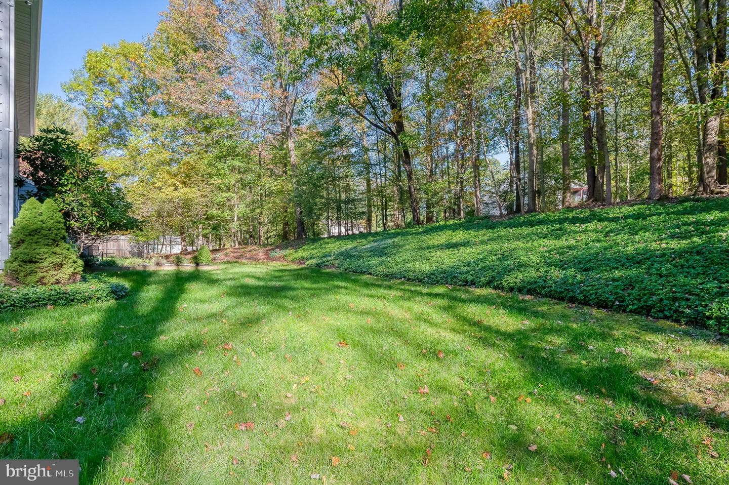 26 Constantine Drive photo 14