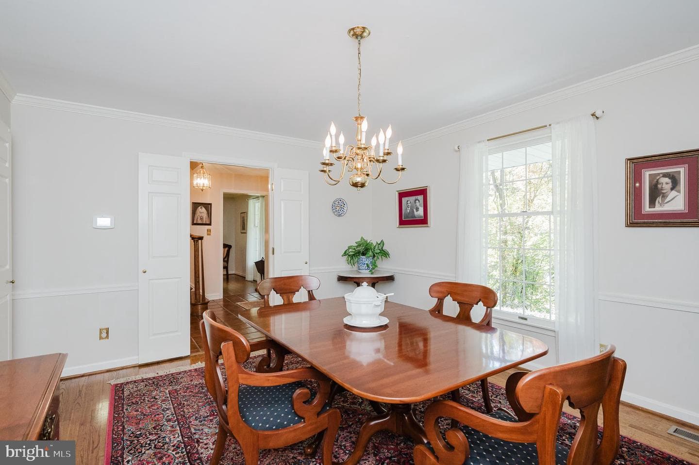 26 Constantine Drive photo 21