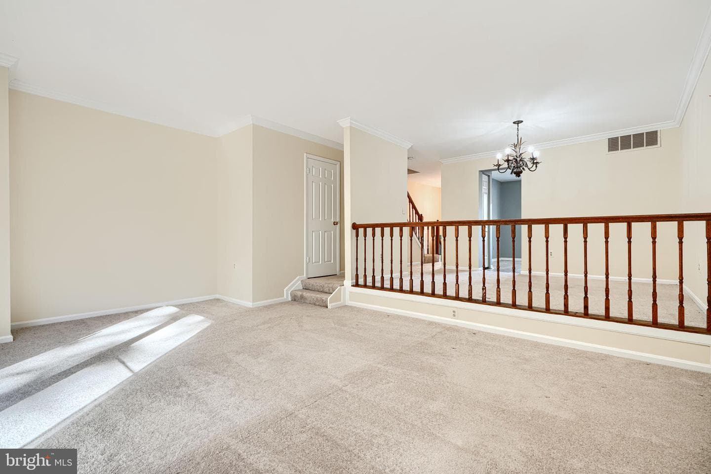 41 Cherrywood Ct photo 13