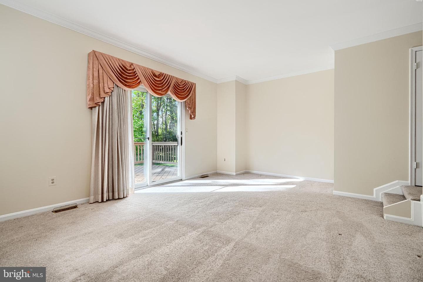 41 Cherrywood Ct photo 14
