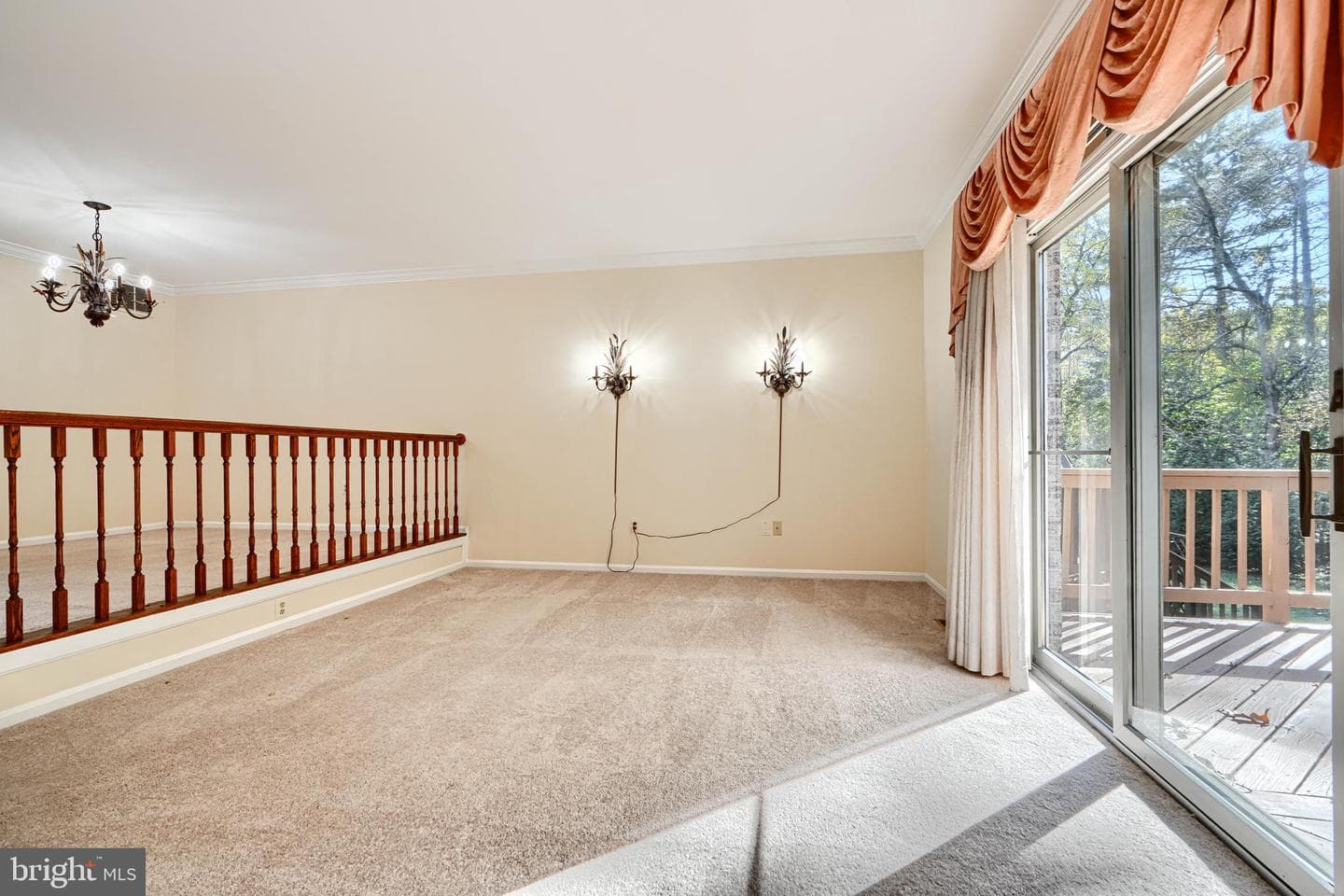 41 Cherrywood Ct photo 15