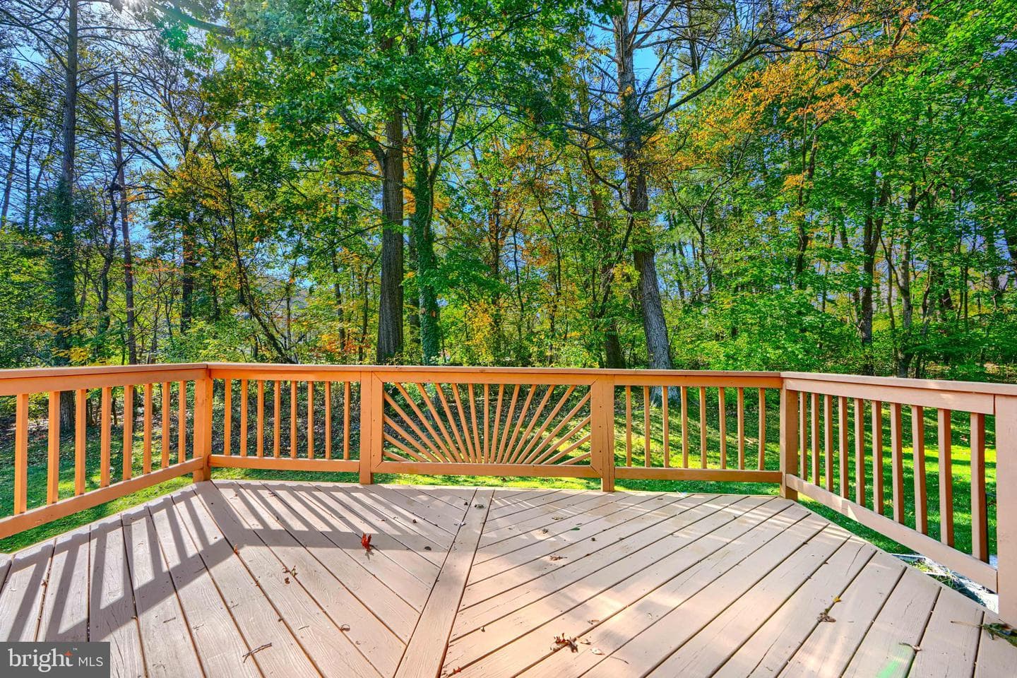 41 Cherrywood Ct photo 16