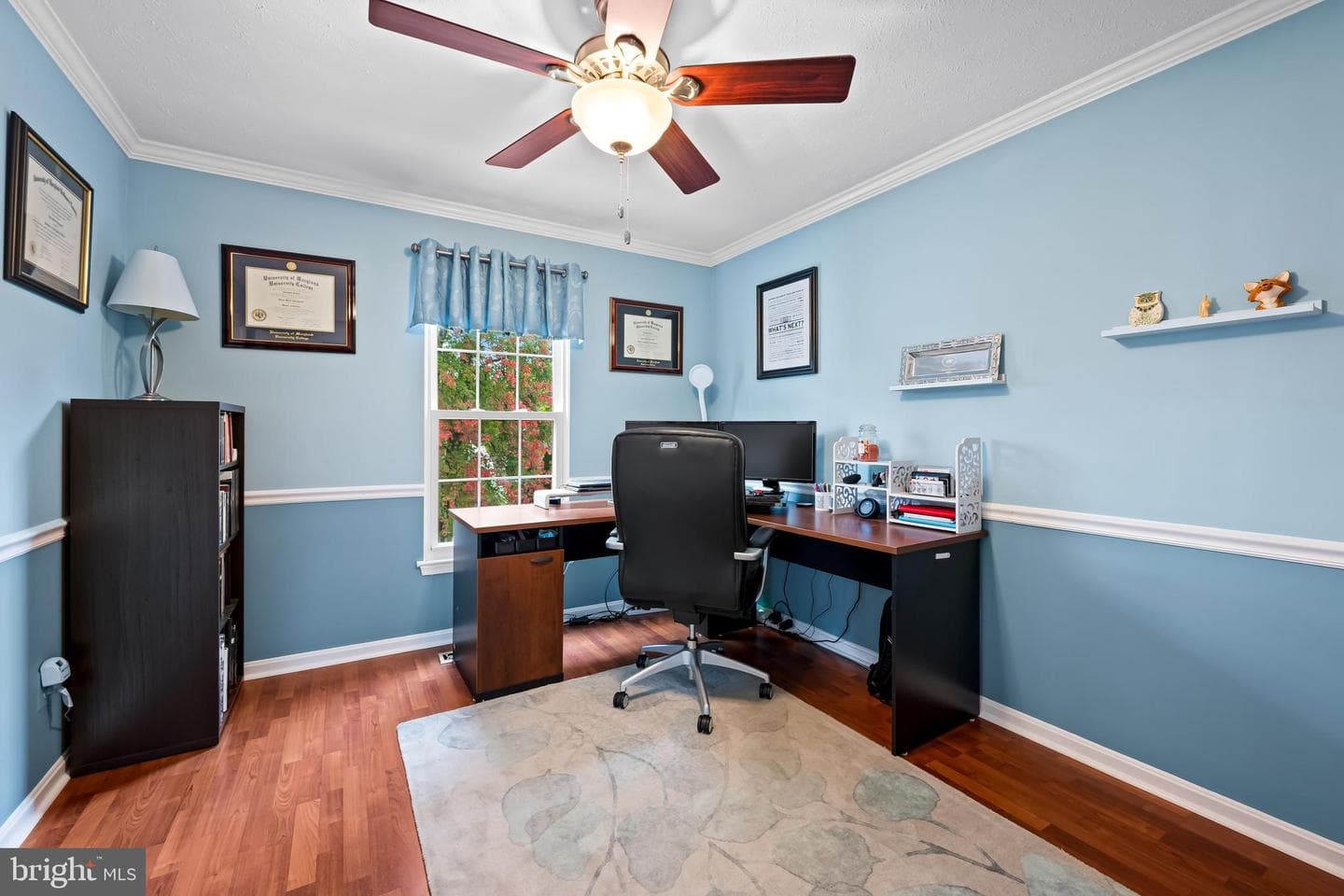 3746 Proctor Lane photo 9