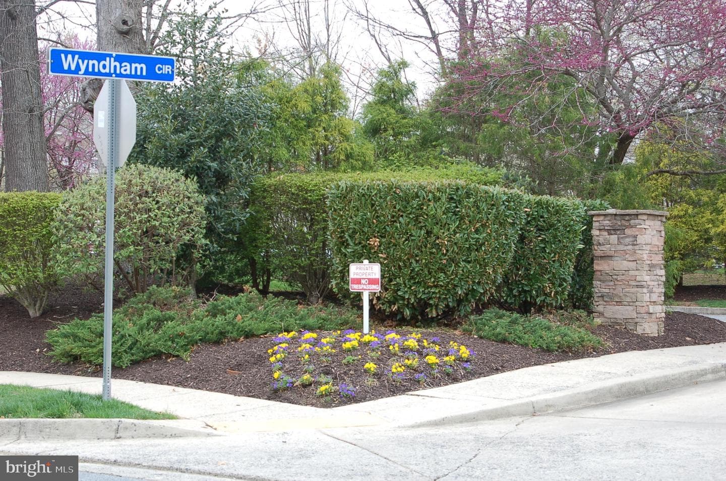 305 Wyndham Circle #305 K photo 42